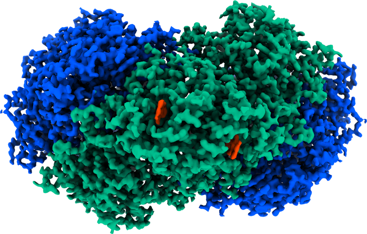 Energia dall'aria, i batteri come batterie naturali 6 Energia dall'aria, i batteri come batterie naturali 5