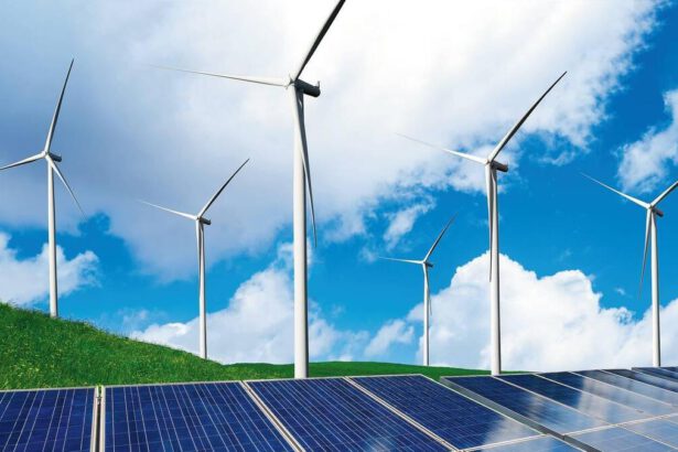 Scopri le Principali Fonti di Energia Rinnovabile per il 2024 25