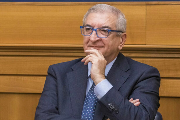 Tommaso Foti Ministro degli Affari europei, Meloni: "Politico esperto e capace" 9