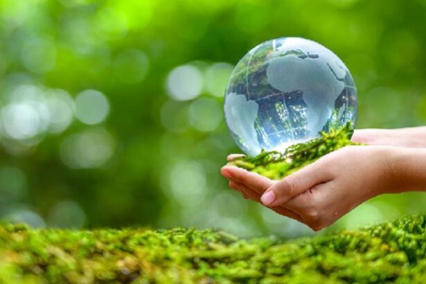 Giornata mondiale della Terra: rigeneriamo il Pianeta con il fotovoltaico 14