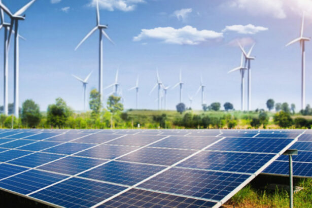 L'Italia più green di sempre nel 2024: "Il 41% dell'energia è rinnovabile" 7