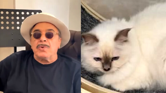 Nino Frassica: "Ho perso il gatto durante le riprese di Don Matteo, 5.000 euro a chi lo ritrova" 3