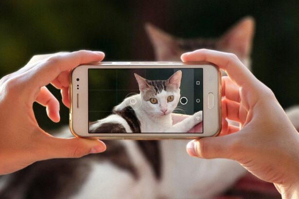 Google Lumiere, nasce l'intelligenza artificiale che crea video realistici a partire da foto 15