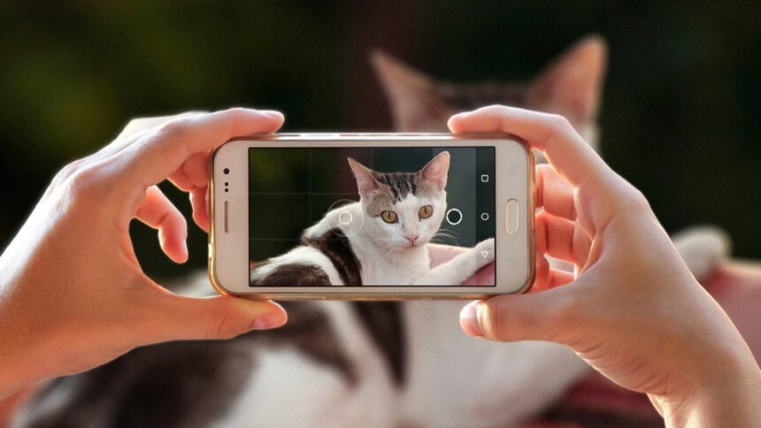 Google Lumiere, nasce l'intelligenza artificiale che crea video realistici a partire da foto 1