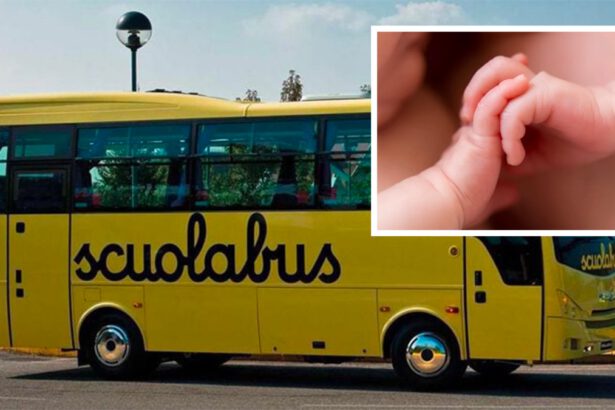 Gemelli separati alla nascita, Mario e Carlo si ritrovano per caso sul bus della scuola 6