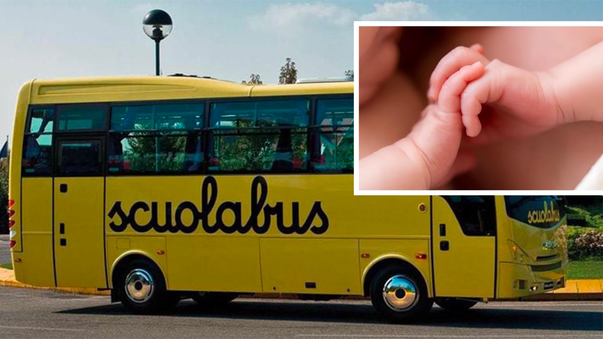 Gemelli separati alla nascita, Mario e Carlo si ritrovano per caso sul bus della scuola 13