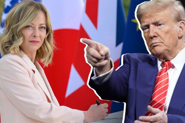 Giorgia Meloni a colloquio telefonico con Trump dopo la vittoria: quali sono gli obiettivi comuni 9