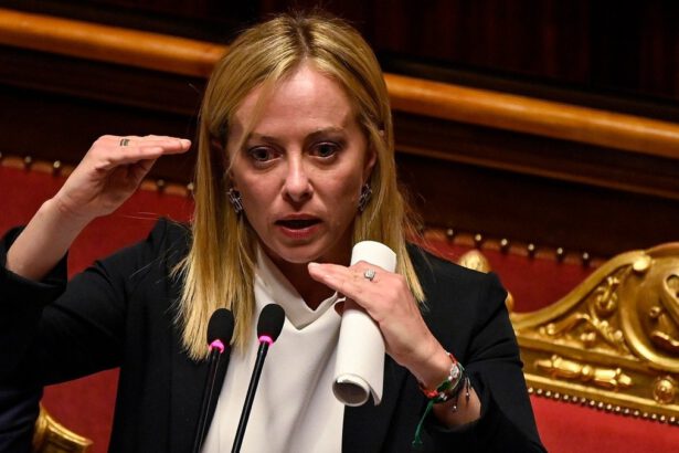 Intelligenza artificiale, arriva un nuovo disegno di legge: "L'Italia investirà un miliardo" 14