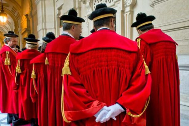 Salario minimo, sentenza storica della Cassazione: "Illegali paghe indegne, va introdotto" 43