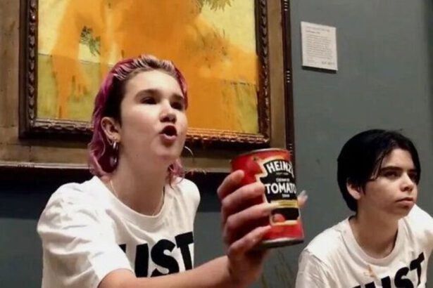 Ambientaliste imbrattano girasoli di Van Gogh con pomodoro: "Vi interessa l'arte o la vita?" 6