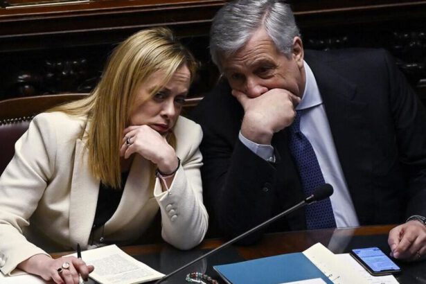 Qual è la posizione del Governo a seguito degli attacchi in Israele e Libano? 14