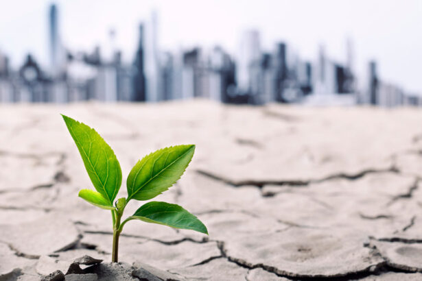 Greenwashing: che cos'è e perché se ne parla tanto 12