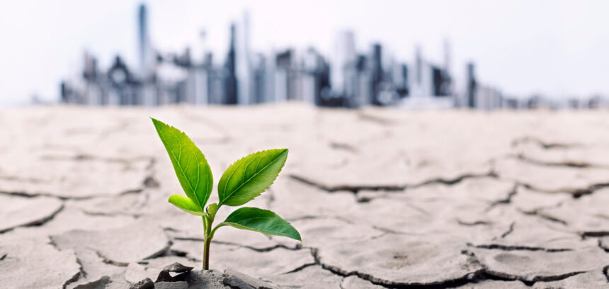 Greenwashing: che cos'è e perché se ne parla tanto 1