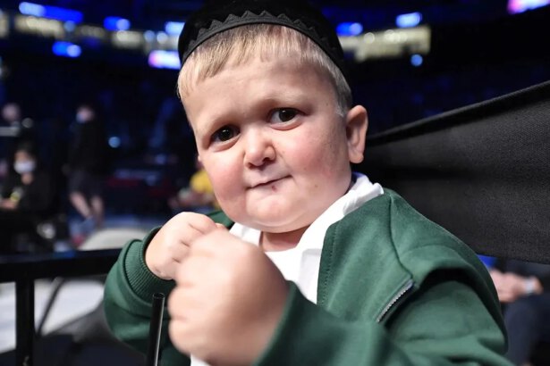 Chi è Hasbulla Magomedov, il "bambino" star del web: "Arrestato in Russia" 7