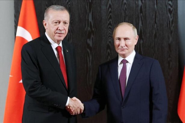 Putin incontra Erdogan e propone un hub in Turchia per regolare il prezzo del gas 9