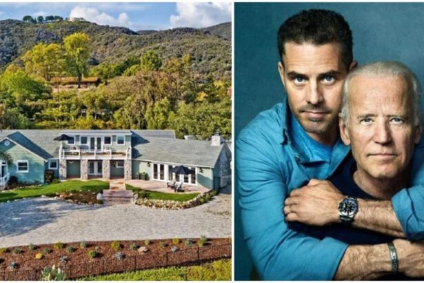 Hunter Biden, la bella vita dei servizi segreti: 30mila dollari al mese per proteggerlo 10