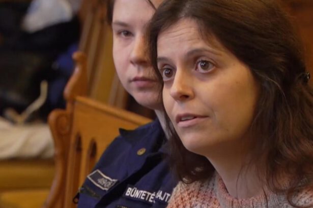 Ilaria Salis a processo: riuscirà a ottenere i domiciliari? La decisione del giudice 7