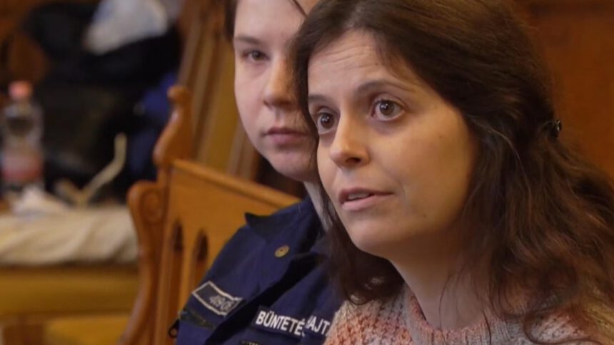 Ilaria Salis a processo: riuscirà a ottenere i domiciliari? La decisione del giudice 1