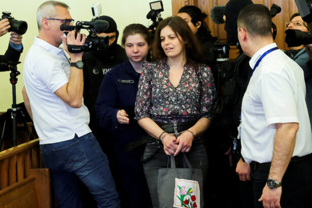 Ilaria Salis ai domiciliari: entro quando dovrà pagare la cauzione per uscire dal carcere? 19