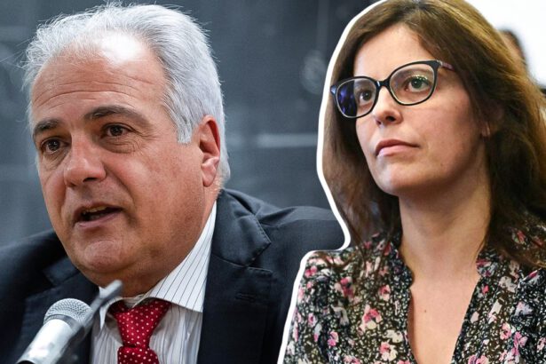 Ilaria Salis, il papà Roberto: "Per mia figlia faccio qualsiasi cosa, organizziamo la campagna elettorale al telefono" 11