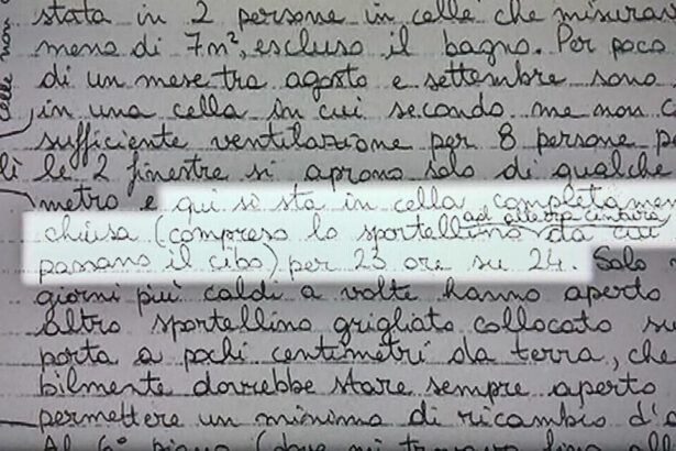 Il memoriale autografo di Ilaria Salis, le condizioni e la richiesta dei domiciliari 6