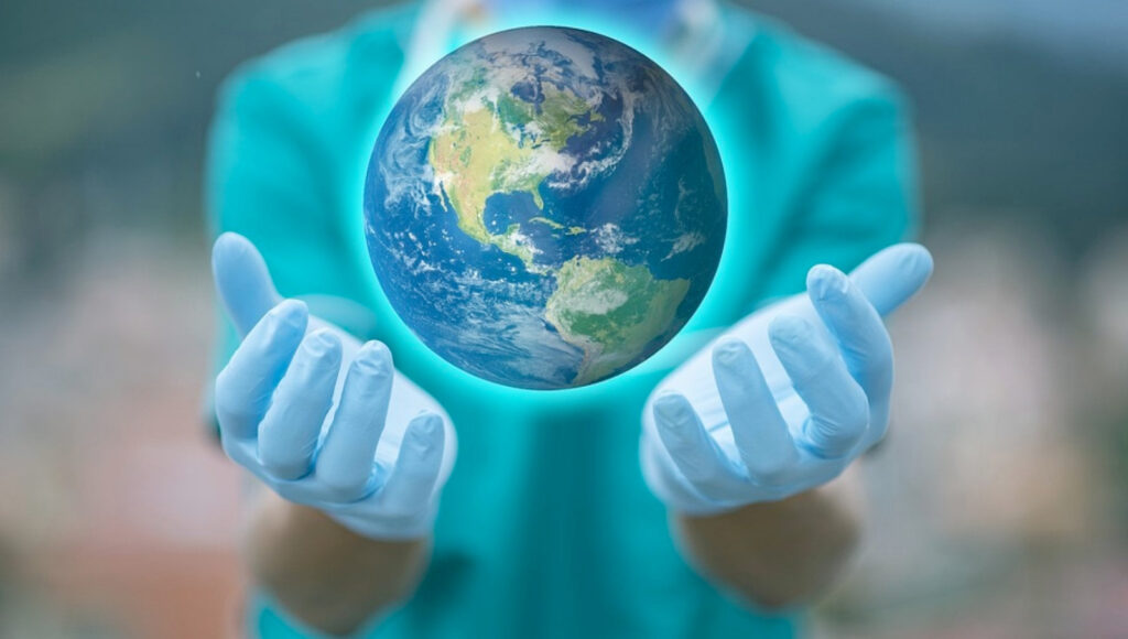 Aviaria può diventare pandemia? Arduini: “Il potenziale c'è ma il rischio è contenuto” 3