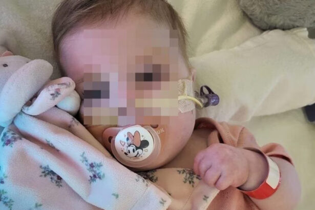 Caso Indi Gregory, il padre: "L'Italia è l'ultima speranza per nostra figlia, vi siamo grati" 25