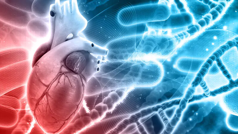 Infarto, come sarà possibile prevenirlo grazie all’IA 3 infarto-IA