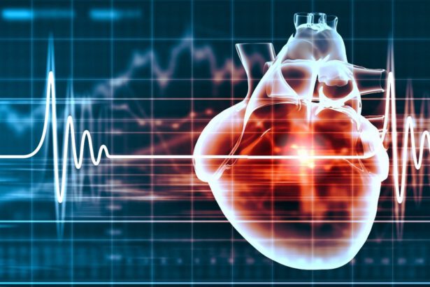 Infarto, come sarà possibile prevenirlo grazie all’IA 10