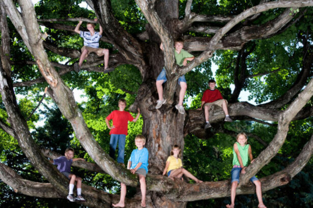 Progetti di innovazione sociale: come le tecnologie stanno cambiando le comunità 11