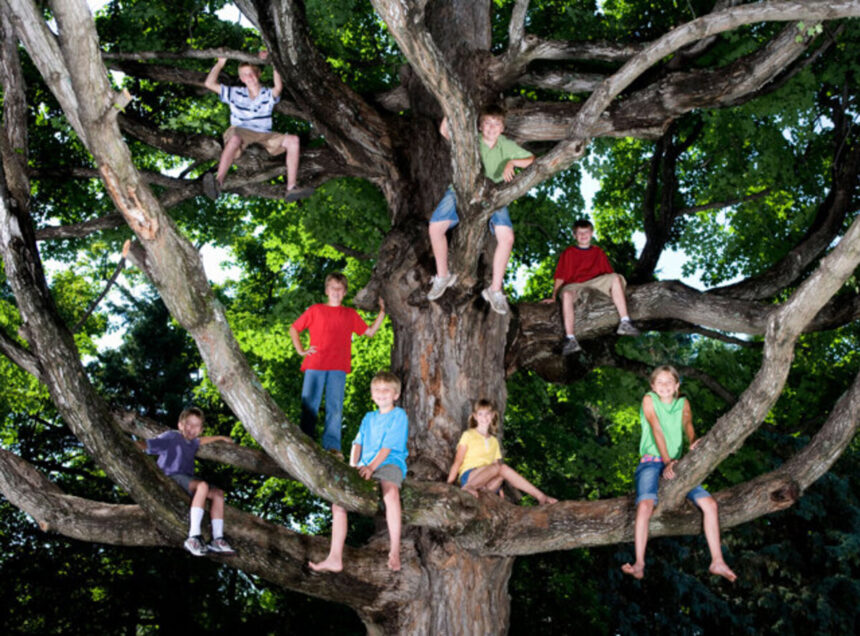 Progetti di innovazione sociale: come le tecnologie stanno cambiando le comunità 1