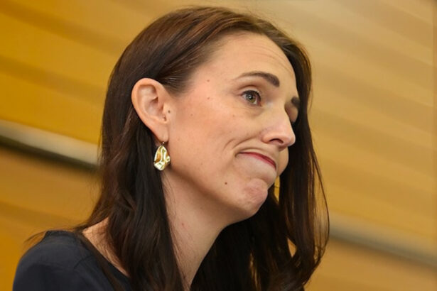 La Premier neozelandese Ardern si dimette: "La mamma sarà a casa quando inizierai la scuola" 17