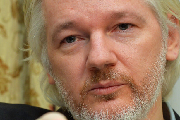 Julian Assange libero, di cosa era accusato, quanti anni di carcere e perché esce ora 14