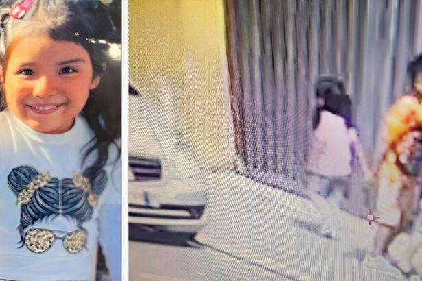 Chi è la donna che ha richiamato la piccola Kata nell'hotel Astor prima della scomparsa? 11