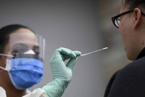 Covid, cos’è la variante Kraken: "Sarà record di contagi" 9