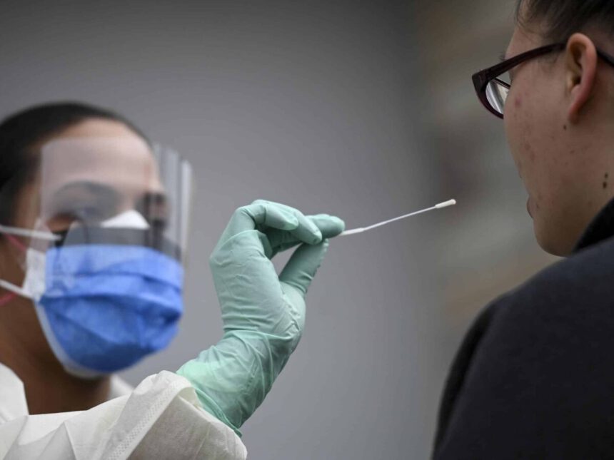 Covid, cos’è la variante Kraken: "Sarà record di contagi" 2 Covid, cos’è la variante Kraken: "Sarà record di contagi" 1