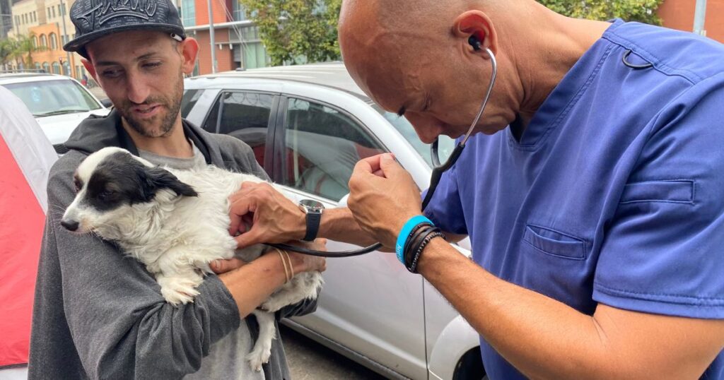Il veterinario che cura gratis cani e gatti dei senzatetto: "Ho salvato più di 400 animali" 3