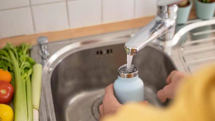 Abitudini eco-friendly: come iniziare a vivere in modo sostenibile 3