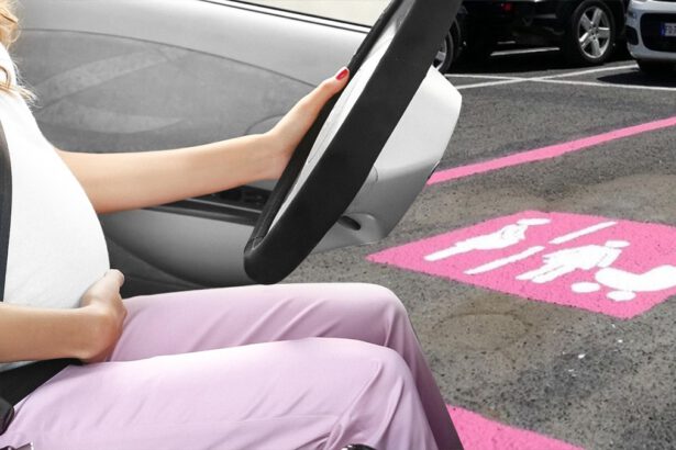 Arrivano le strisce rosa, mamme e donne incinte potranno parcheggiare in aree riservate 19