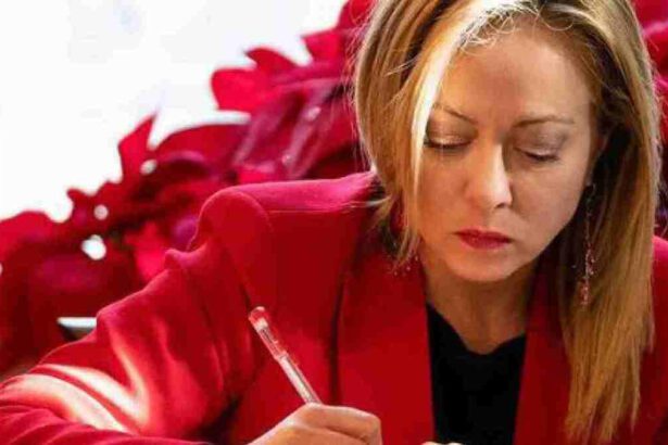 Sorpresa di Natale: chi sono gli scontenti della prima Manovra di Giorgia Meloni 9