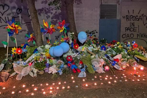 La spietata legge dei followers strappa la vita di un bambino: “Diciamo basta” 9