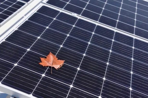 Manutenzione degli impianti fotovoltaici: l'autunno è il momento giusto per farla 10