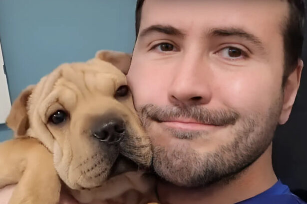 Addio Dottor Pet, la lettera della sorella Martina: "Ironizzava anche sulla malattia, non si sentiva un eroe" 10