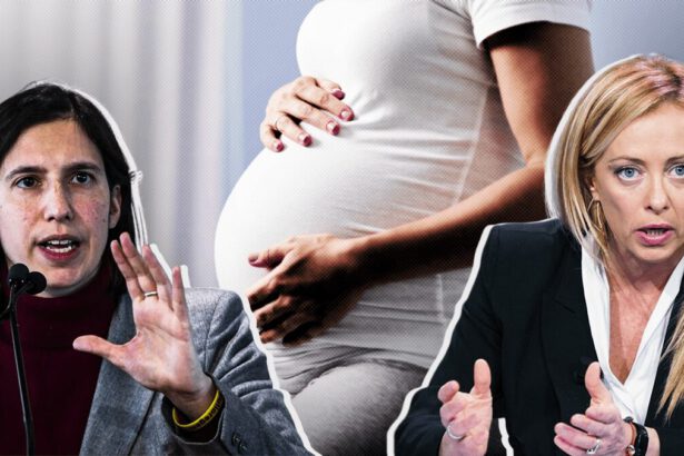 Maternità surrogata, cosa dice la legge in Italia? Tutto quello che c'è da sapere 14