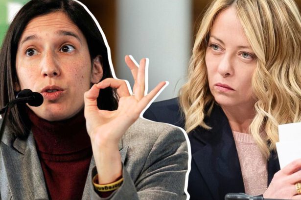 La maternità surrogata diventa reato universale. Chi è a favore e chi no 14