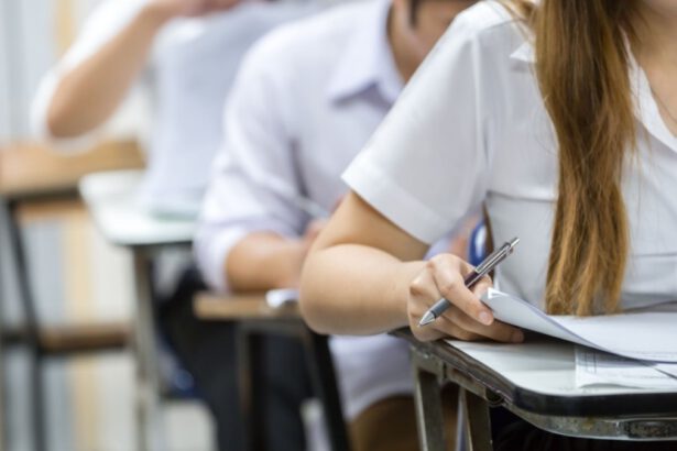 Maturità 2024, cosa cambia per i 500.000 studenti che a giugno affronteranno l'esame di Stato 13
