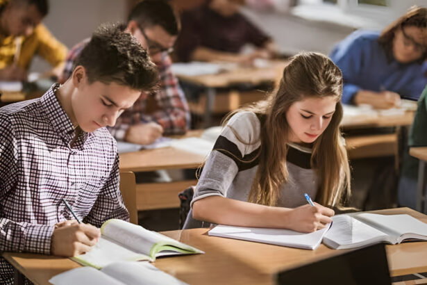 Maturità 2025, le materie della seconda prova: latino e matematica nei licei 19