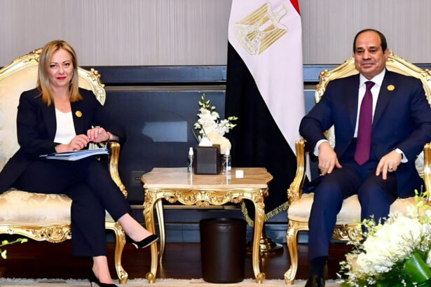 Meloni e le dichiarazioni sul caso Regeni: cosa è necessario fare e qual è la posizione dell'Italia? 15