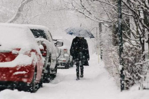 Meteo, cos'è la sciabolata artica di Attila che colpirà l'Italia? 10
