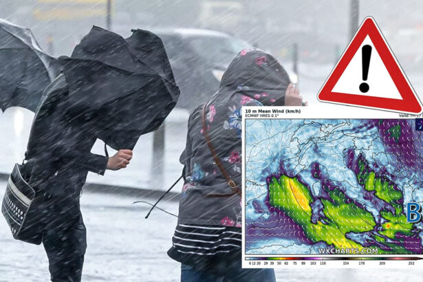 Meteo, forte vento e temperature che toccheranno lo zero: cosa succederà in questi giorni? 13